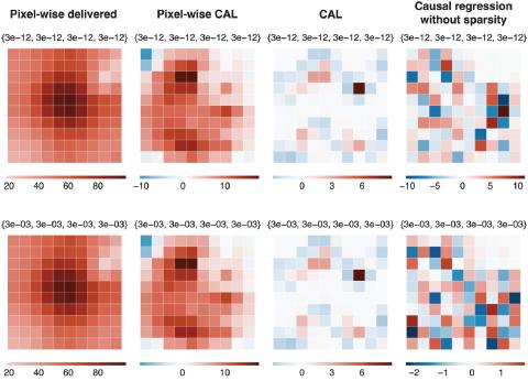 Causal inference in radiotherapy